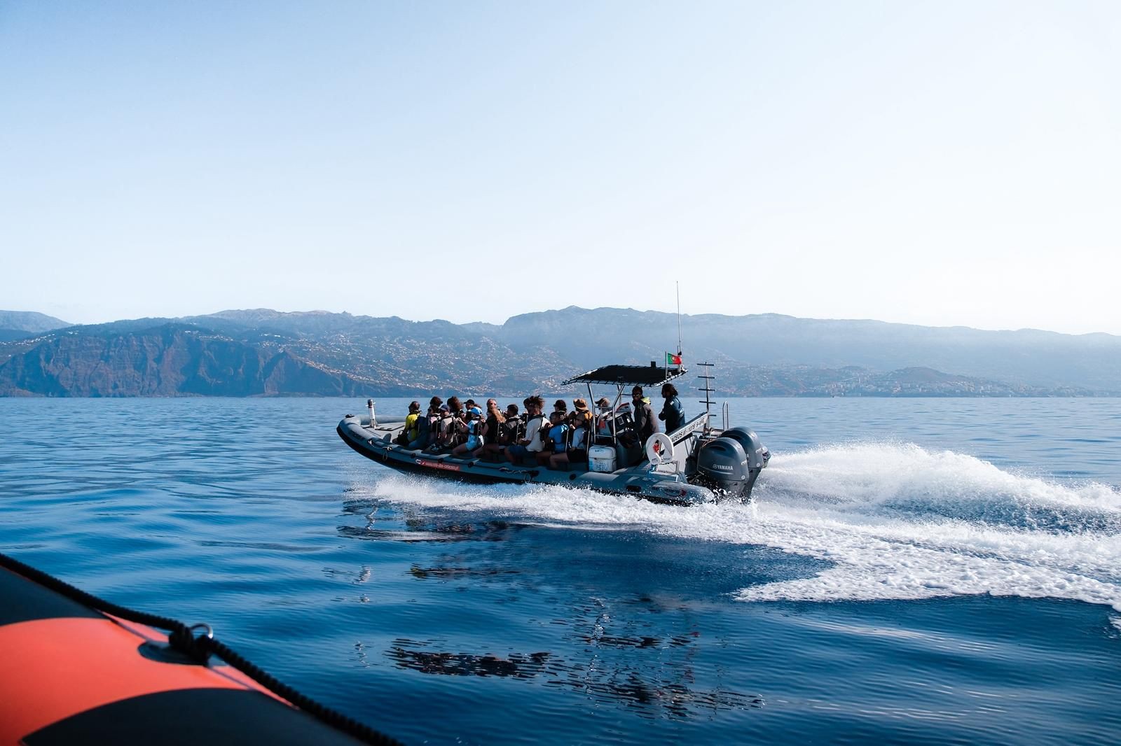 Speedboat 99% szans